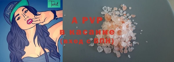 сатива Балахна