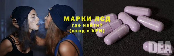 сатива Балахна