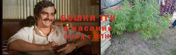 сатива Балахна