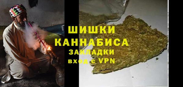 сатива Балахна