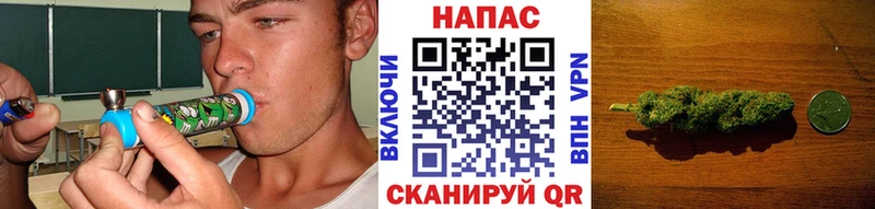 Бошки марихуана индика  цены наркотик  Нерюнгри 